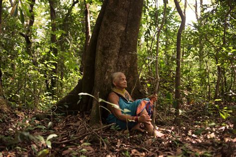 tulsi ravichandran news|‘Magic in Her Hands.’ The Woman Bringing India’s Forests Back .